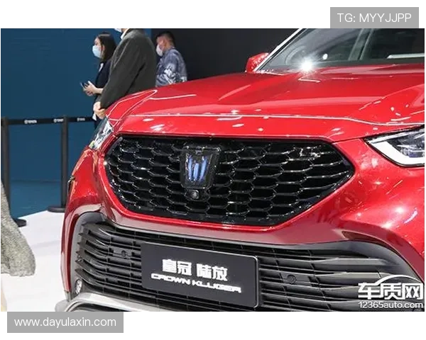 皇冠官方网官网与你的账户安全及隐私保护措施分析