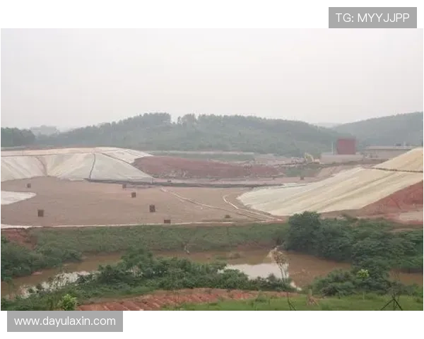 华都娱乐场关场对行业规范与监管的启示与未来发展建议 华都娱乐场关场对行业规范与监管的启示与未来发展建议