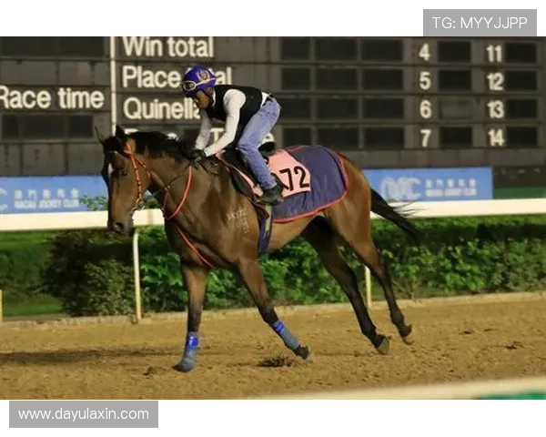 掌握澳门赛马时间表2024，帮助你合理安排观看和投注计划